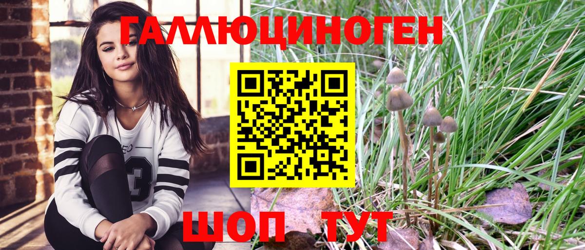 Галлюциногенные грибы GOLDEN TEACHER Ставрополь