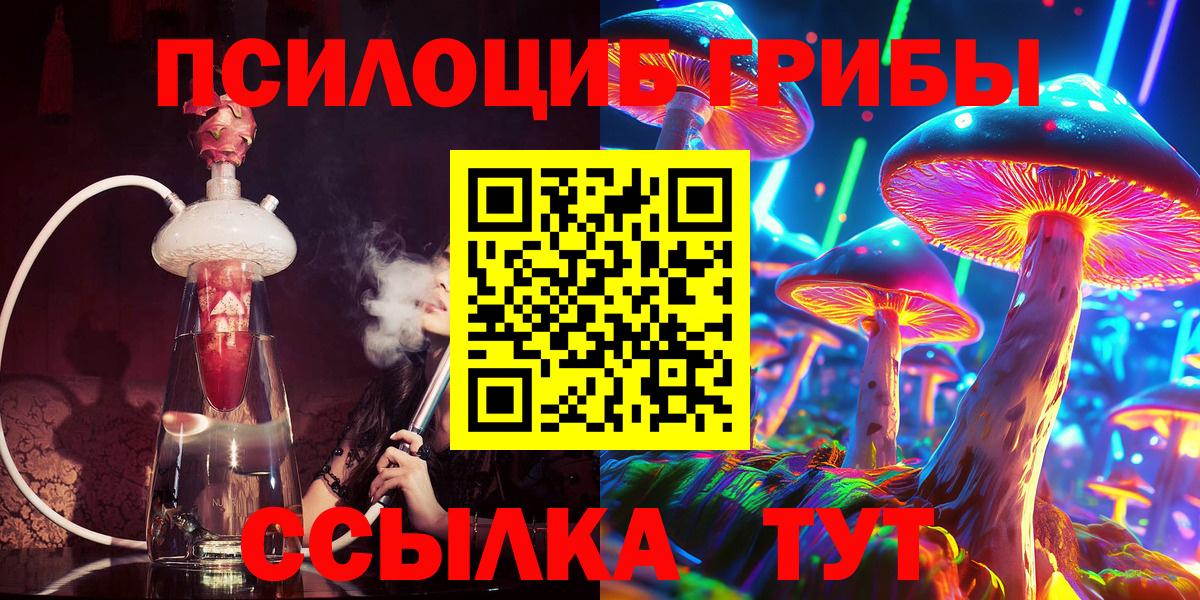 Галлюциногенные грибы GOLDEN TEACHER  Вход с VPN  Ставрополь  Галлюциногенные грибы мицелий 